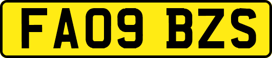 FA09BZS