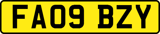 FA09BZY
