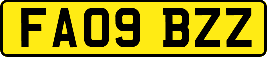 FA09BZZ