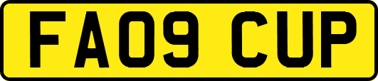 FA09CUP