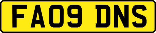 FA09DNS