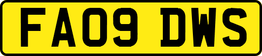 FA09DWS