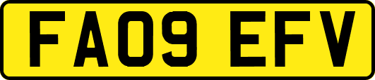 FA09EFV