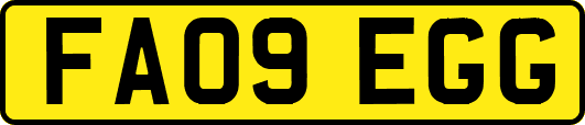FA09EGG