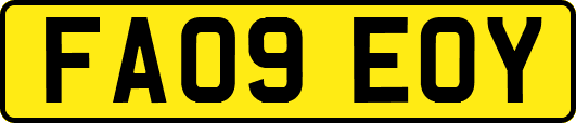 FA09EOY