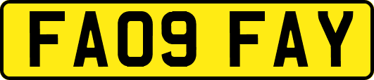 FA09FAY