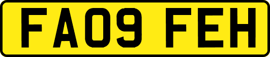 FA09FEH