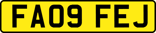 FA09FEJ