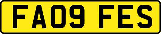 FA09FES