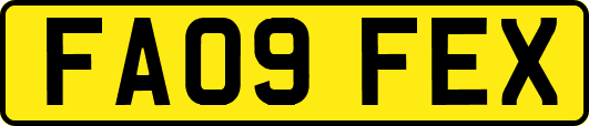 FA09FEX