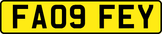 FA09FEY