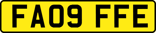FA09FFE