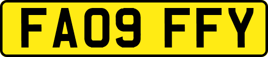 FA09FFY