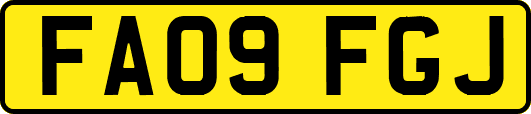 FA09FGJ