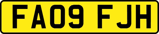 FA09FJH