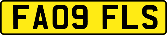 FA09FLS
