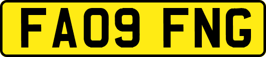 FA09FNG