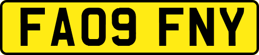 FA09FNY