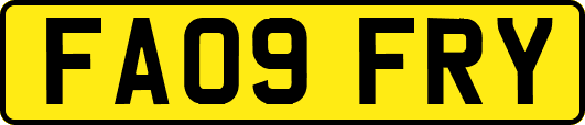 FA09FRY