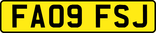 FA09FSJ