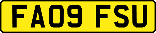 FA09FSU