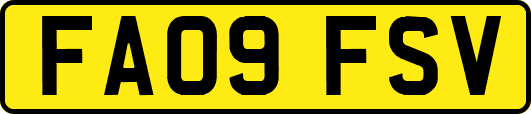 FA09FSV