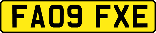 FA09FXE
