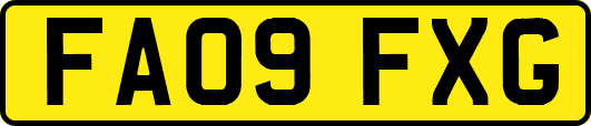 FA09FXG