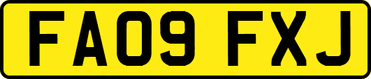 FA09FXJ