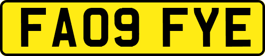FA09FYE