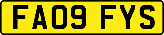 FA09FYS