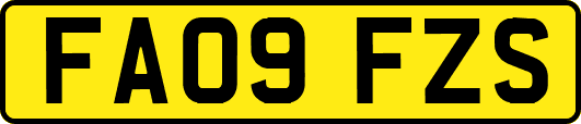 FA09FZS