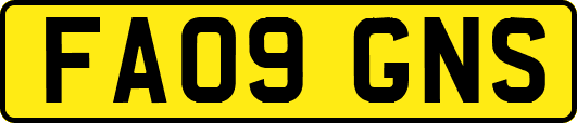FA09GNS