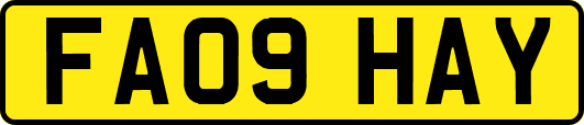 FA09HAY