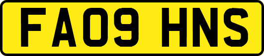 FA09HNS