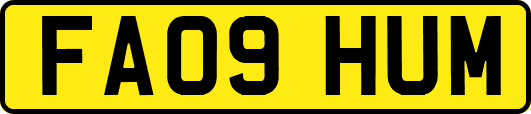 FA09HUM