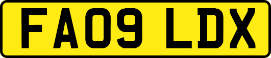 FA09LDX
