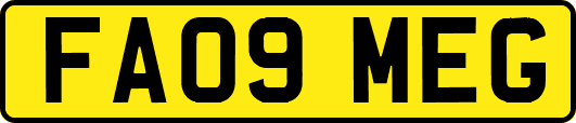 FA09MEG