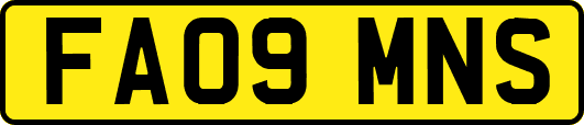 FA09MNS