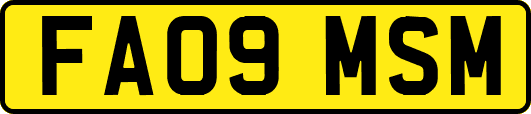 FA09MSM