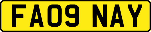 FA09NAY