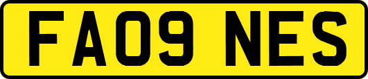 FA09NES