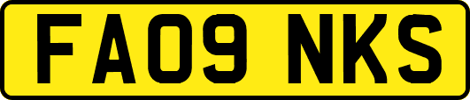 FA09NKS