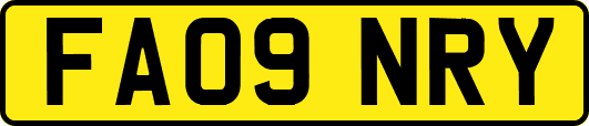 FA09NRY