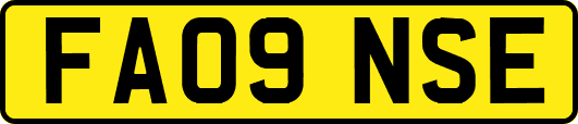 FA09NSE
