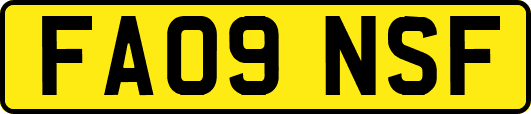 FA09NSF