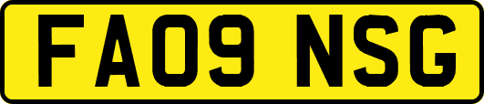 FA09NSG