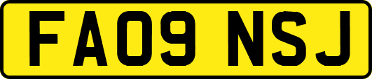 FA09NSJ