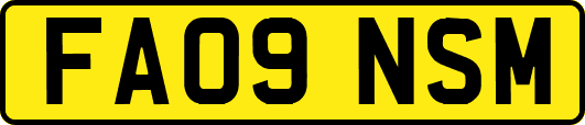 FA09NSM