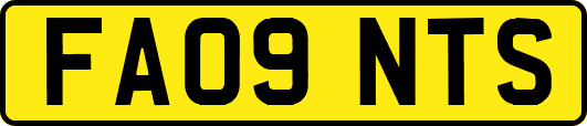 FA09NTS